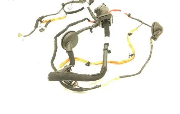 KIA Telluride Front door wiring loom 91981S1010