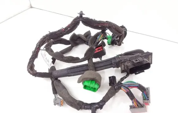 Front door wiring loom