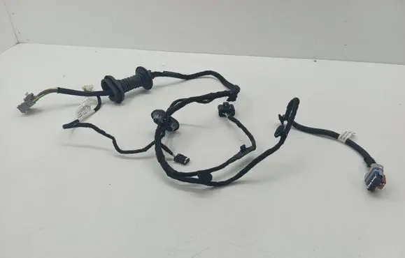 Rear door wiring loom