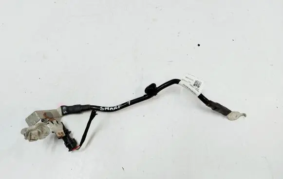 Smart #1 Negative earth cable (battery) 8891263911
