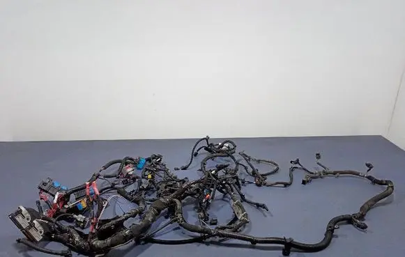 Chevrolet Express Other wiring loom 