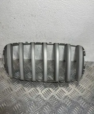 BMW X6 F16 Front bumper upper radiator grill 7316076