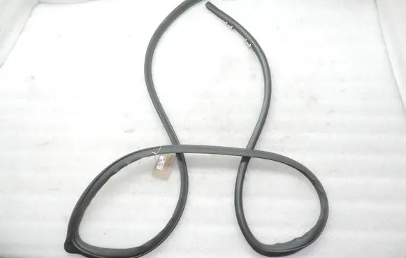Toyota Corolla Verso AR10 Front door rubber seal 6231113020B0