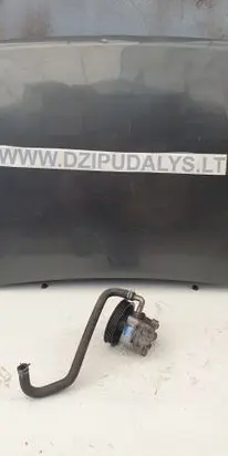 Suzuki Grand Vitara II Power steering pump 5Y234081 4910065J00