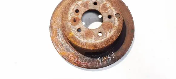 Chevrolet Captiva Rear brake disc ventiliuojamas