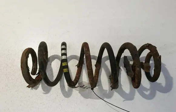 Rear coil spring