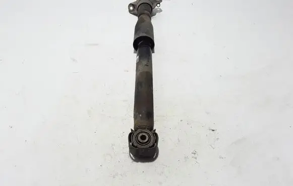 Rear shock absorber/damper