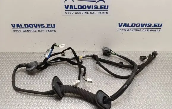 Front door wiring loom