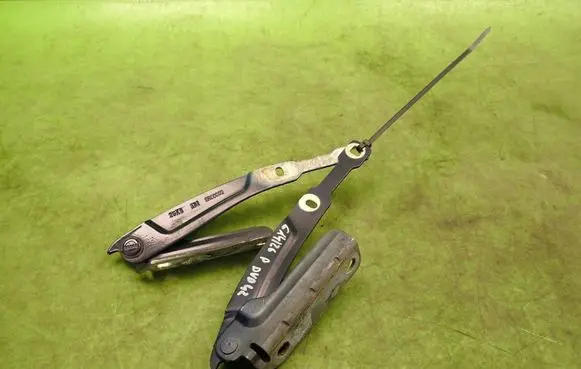 Dacia Logan II Engine bonnet/hood hinges 1R000029R00002