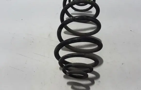 Renault Kangoo II Rear coil spring 8200844277