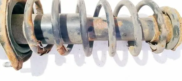 Rear coil spring