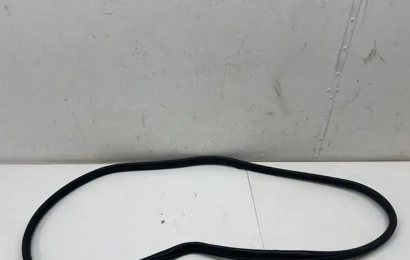 Mini Clubman F54 Front door rubber seal 7344159