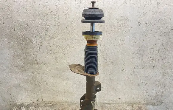 Mercedes-Benz Vito Viano W639 Front shock absorber/damper A6393203613