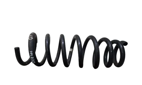 Rear coil spring