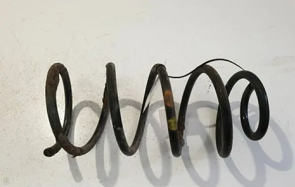 Fiat Punto (188) Rear coil spring