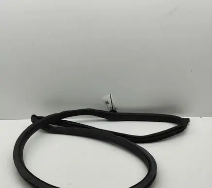 Audi E-tron GT Rubber seal front coupe door 9J1831721A