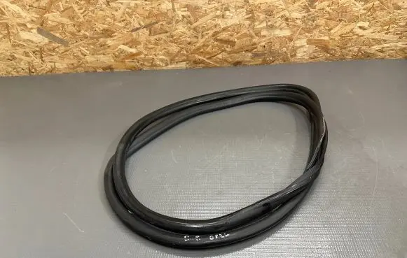 Opel Insignia B Rubber seal front coupe door 
