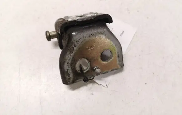 Peugeot 307 Rear door lower hinge