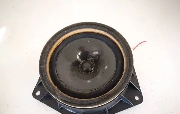Front door speaker