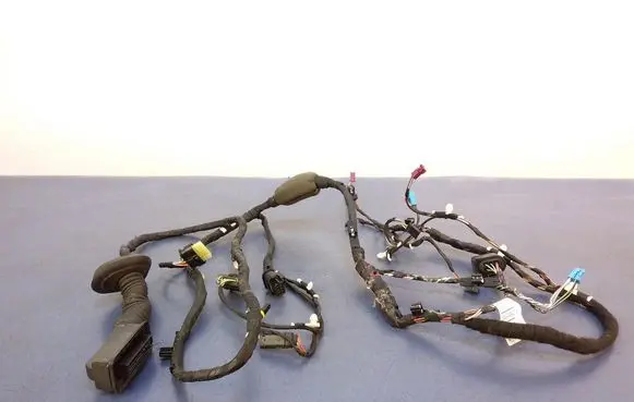BMW 5 G30 G31 G38 Other wiring loom 11107810