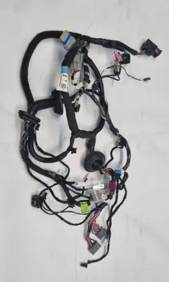 Front door wiring loom
