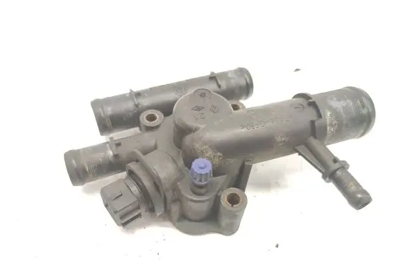 Thermostat/thermostat housing