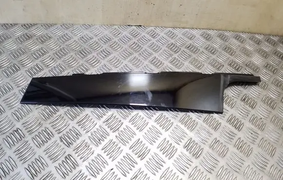 Other front door trim element