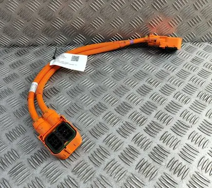 BMW X2 F39 Other wiring loom 6824131 7619781