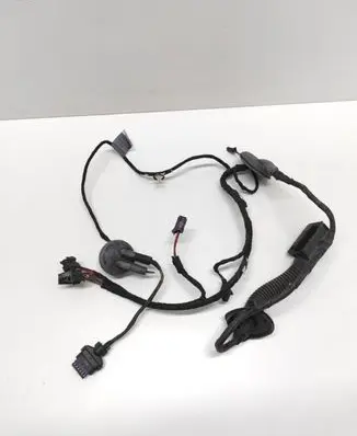 Audi S5 Rear door wiring loom 4F0971841E