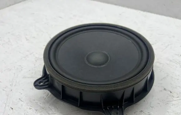 Tesla Model 3 Front door speaker 107974400E
