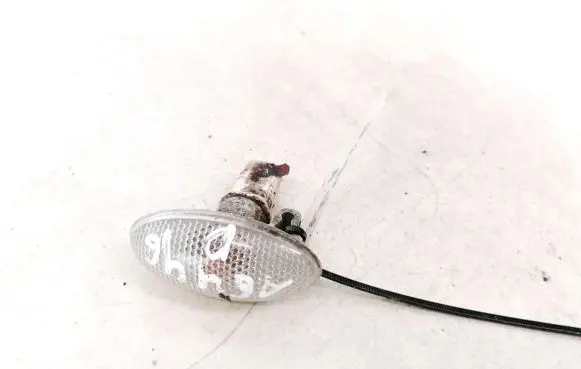 Front fender indicator light
