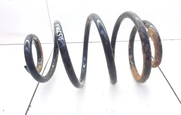 Rear coil spring