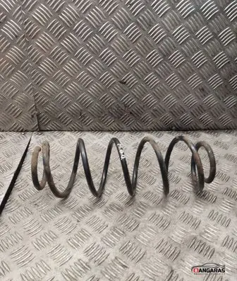 Rear coil spring