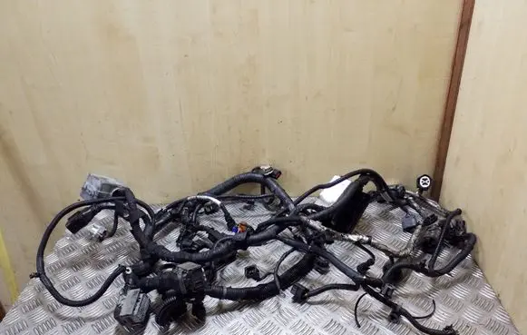 Opel Antara Engine installation wiring loom 95055504