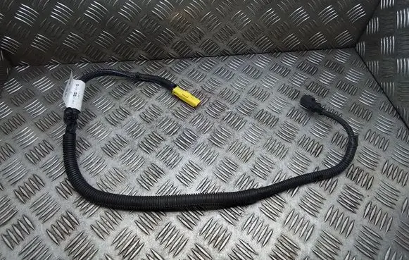 Peugeot Traveller Other wiring loom 9825429380