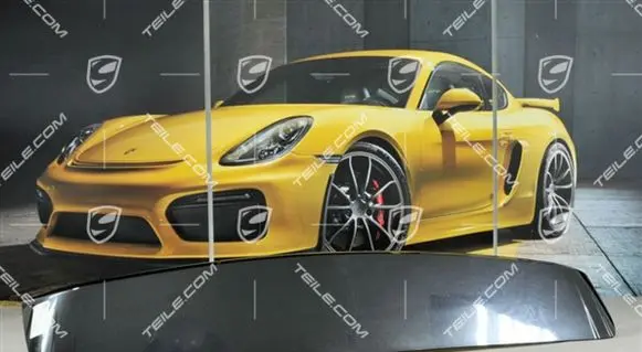 Porsche Cayenne (9PA) Tailgate/trunk spoiler 95551293902G2X
