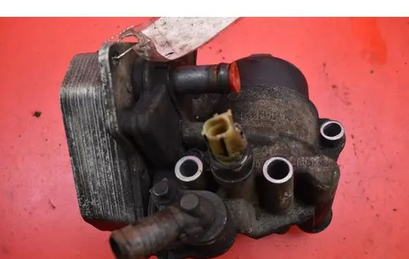 Peugeot Boxer Engine oil radiator BK206B624BB