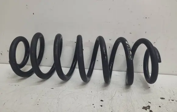 Volkswagen PASSAT B6 Rear coil spring