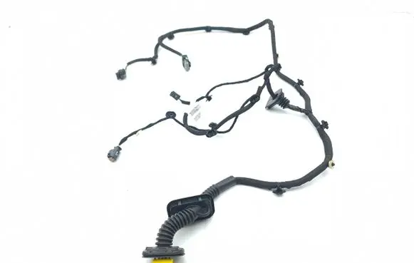 Rear door wiring loom
