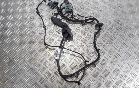 Front door wiring loom