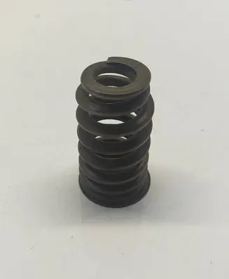 Dodge RAM Valve spring 68080909AB
