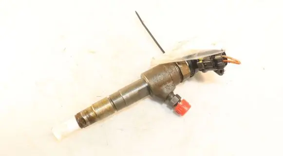 Citroen Berlingo Fuel injector 0445110566