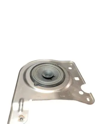 Renault Trafic III (X82) Front door speaker 93868070