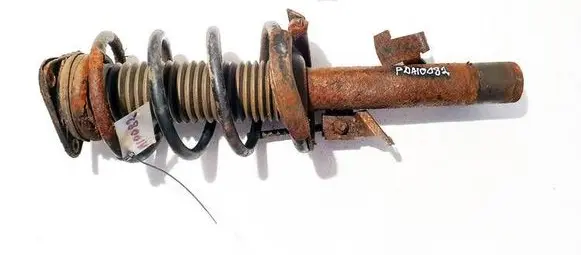 Ford Focus C-MAX Front shock absorber/damper