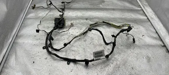 Chrysler Voyager Other wiring loom L0095290AC01 ASGD2707F3951