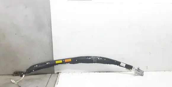 Peugeot 607 Roof airbag 963485538004