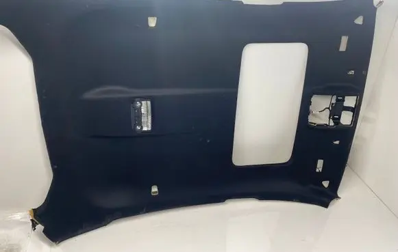 BMW X6 E71 Headlining 205848PB