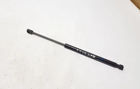 Ford Mach-E I Front bonnet/hood damper/strut LJ8BR16C826AB