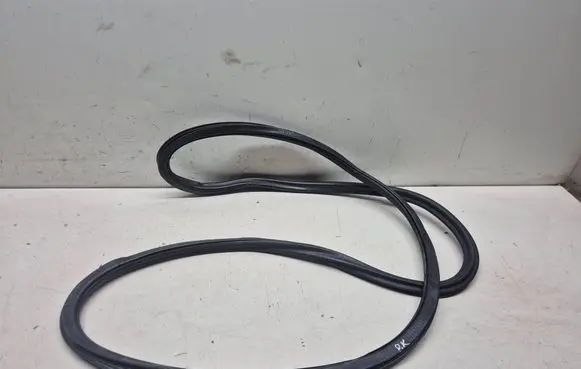 Audi A8 S8 D4 4H Rubber seal front coupe door