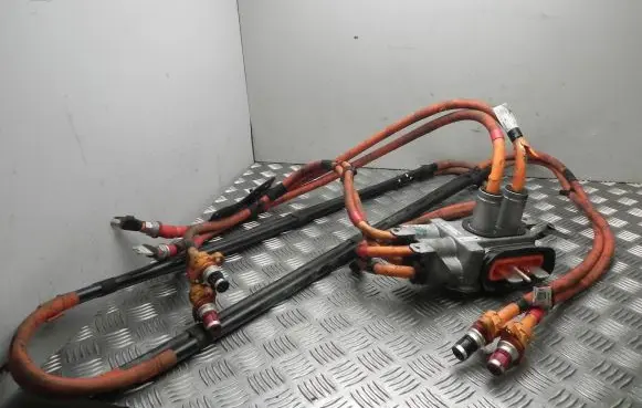Tesla Model S Other wiring loom 106260010C VD19660